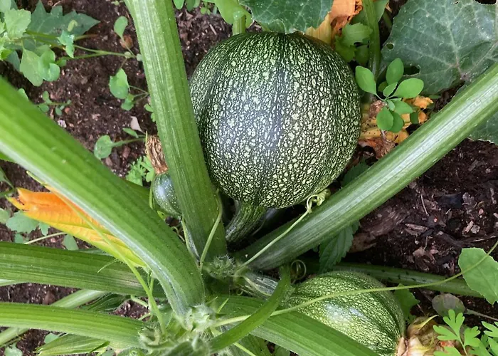 Appartamento Solacargese De Charme Vue Imprenable Méditerranée *
