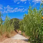 Le Jardin D'irene Vue Panoramique Exceptionnelle Sur La Mediterranee דירה