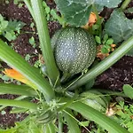 شقة Le Jardin D'irene Vue Panoramique Exceptionnelle Sur La Mediterranee *