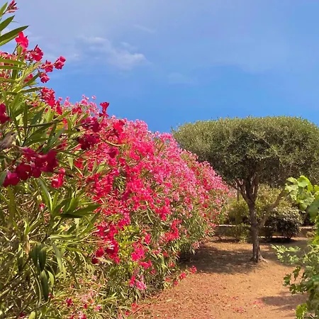 Lägenhet Le Jardin D'irene Vue Panoramique Exceptionnelle Sur La Mediterranee *