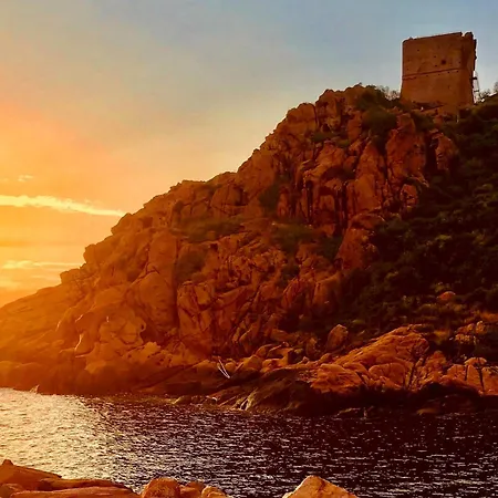 Le Jardin D'irene Vue Panoramique Exceptionnelle Sur La Mediterranee *