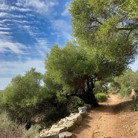 Le Jardin D'irene Vue Panoramique Exceptionnelle Sur La Mediterranee *