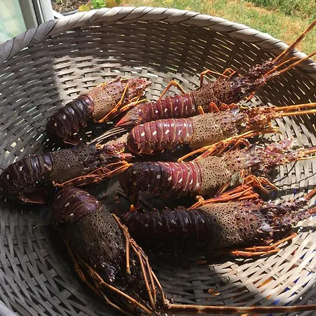Le Jardin D'irene Vue Panoramique Exceptionnelle Sur La Mediterranee Lägenhet