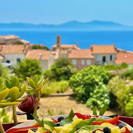 Apartment Solacargese-le Jardin D'irene-vue Panoramique Exceptionnelle Sur La Mediterranee