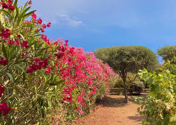 公寓 Le Jardin D'irene Vue Panoramique Exceptionnelle Sur La Mediterranee *