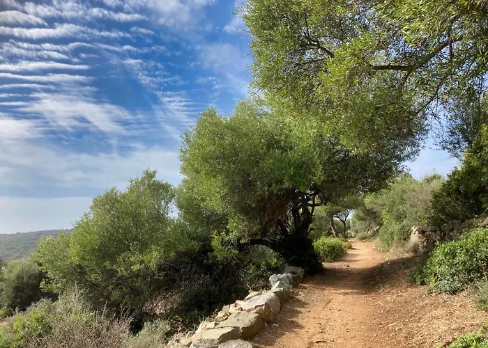 Le Jardin D'irene Vue Panoramique Exceptionnelle Sur La Mediterranee *
